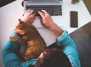A cat lays on the arm of their owner, typing on a laptop. This could symbolize the comfort of online therapy in the UK. Learn more about online therapy in the United Kingdom by contacting an online anxiety therapist today. 60604